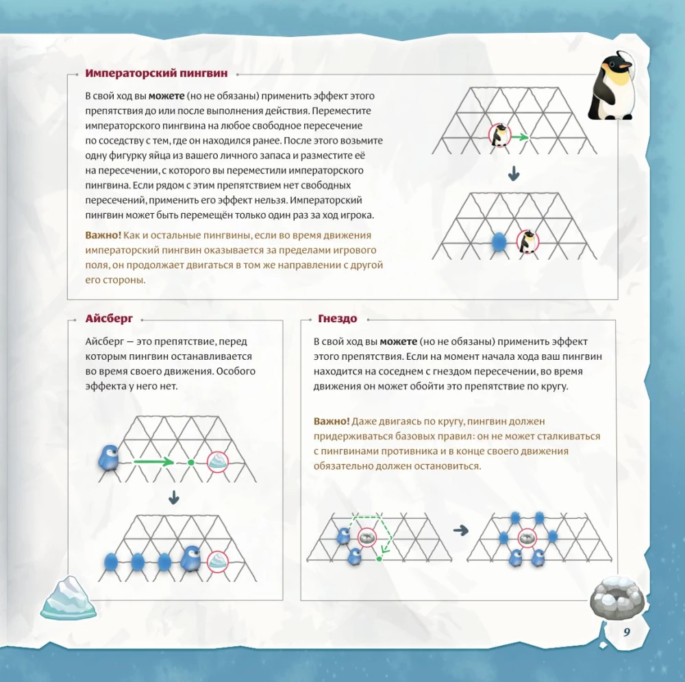 Board Game - Zoollywood. Polar Adventure